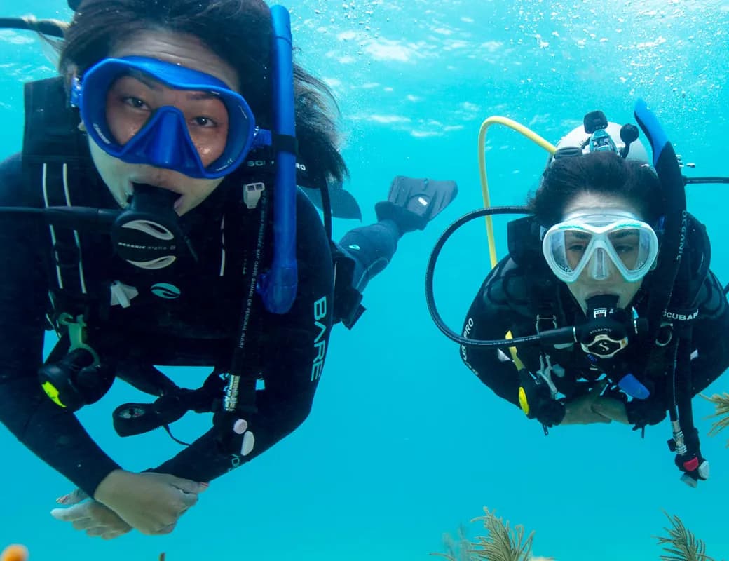 Exploring the Wonders of Scuba Diving: A Guide for Beginners
