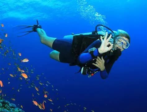 The Hidden Gems of Diving: Exploring Lesser-Known Dive Spots