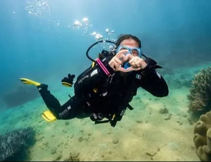 The Ultimate Guide to Scuba Diving for Beginners