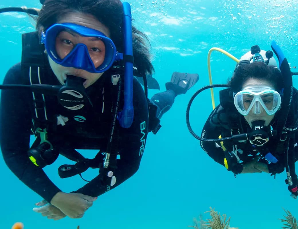 Ut suscipit labore s