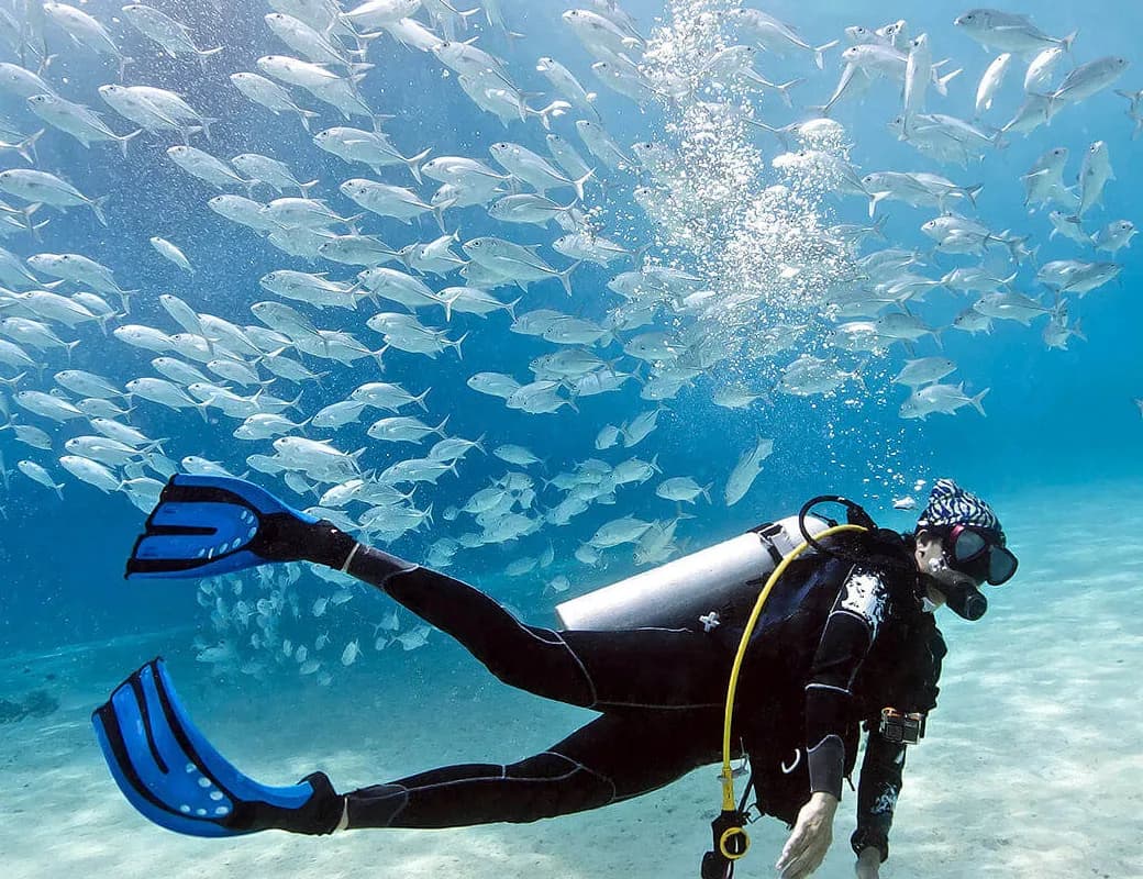 Odit aut esse quo re