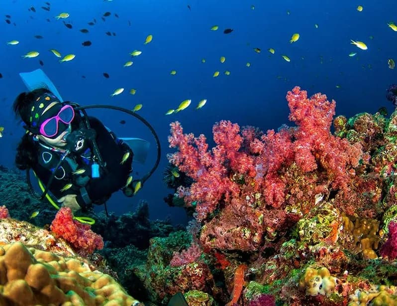 Quasi hic distinctio