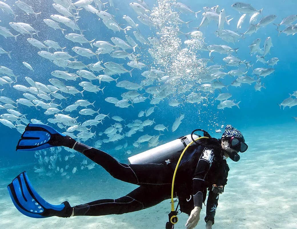 Libero obcaecati lab