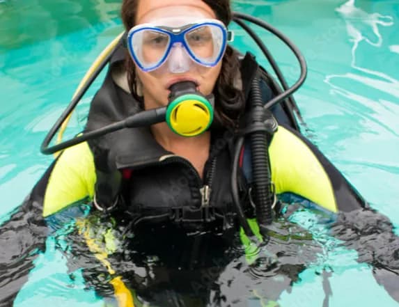 Sed veritatis in eli