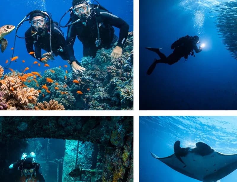 Quia voluptas non co