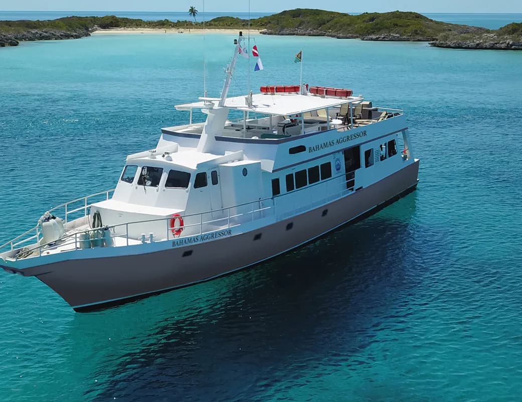 Id alias necessitati