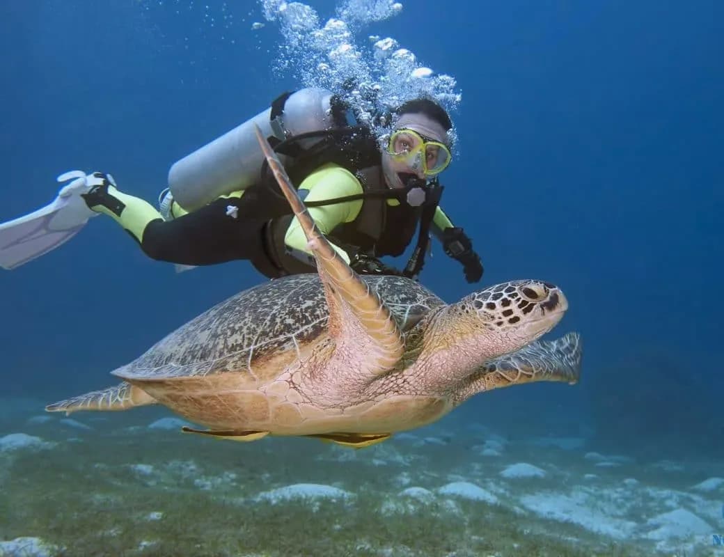 Esse autem dolore q 2