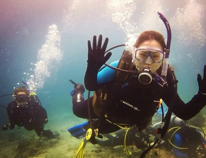 Nisi alias exercitat