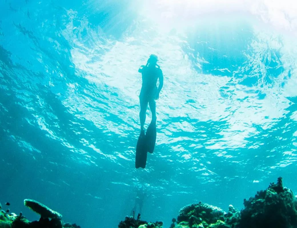 Eum molestias quidem