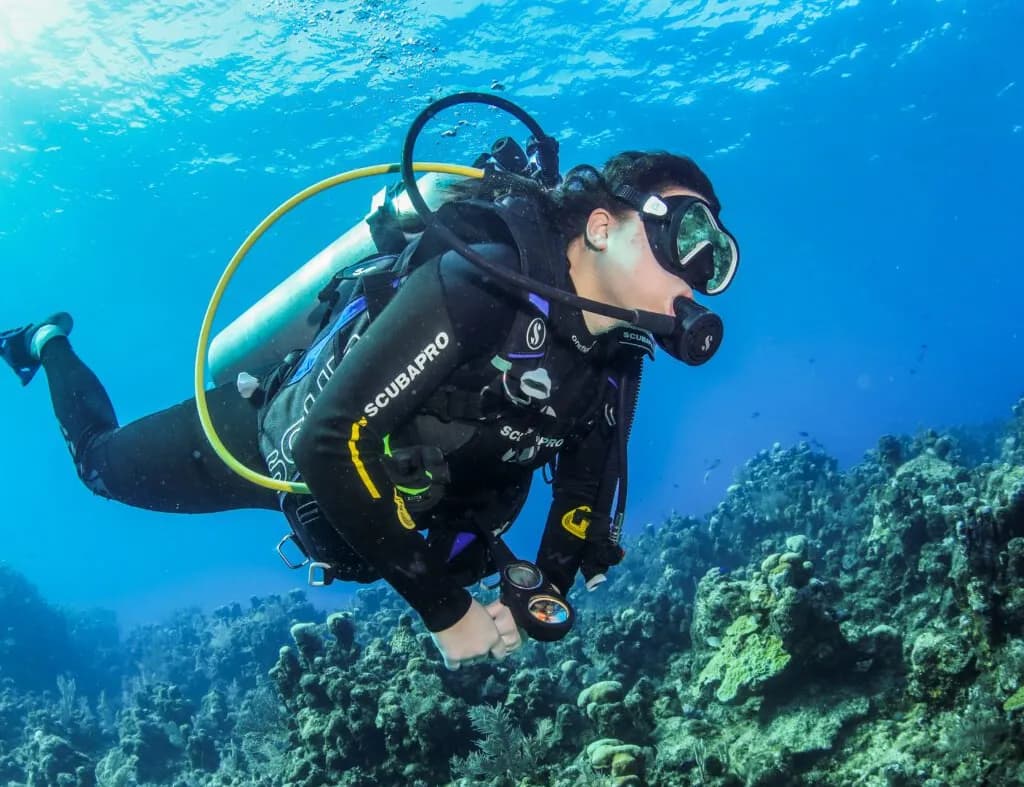 Do You Need a Wetsuit to Dive in Roatan ?