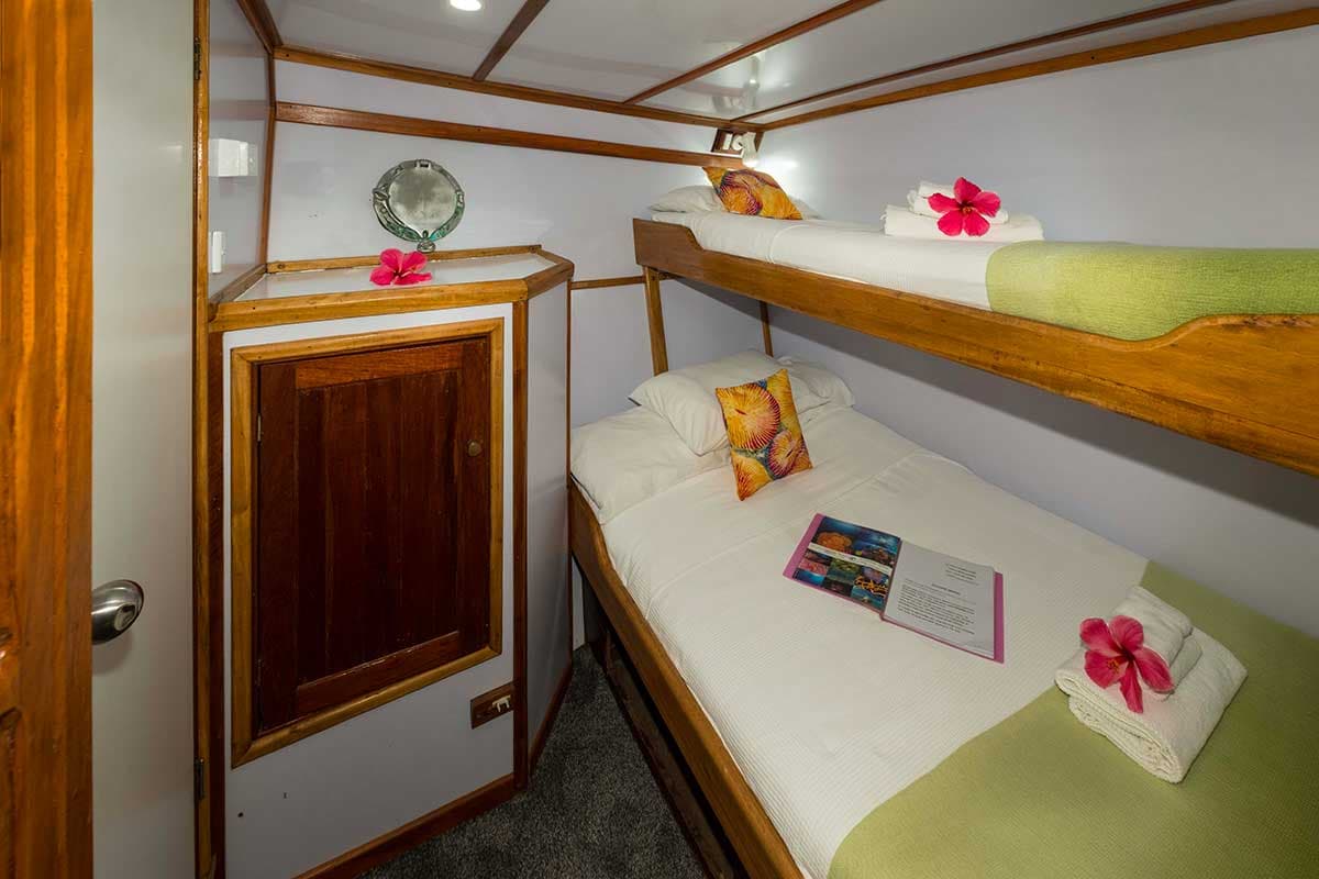 Large Single Cabin 6 - MV FeBrina